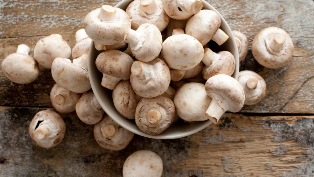 मशरूम की खेती 