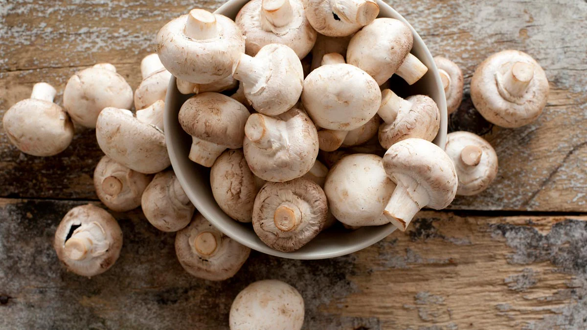 मशरूम की खेती