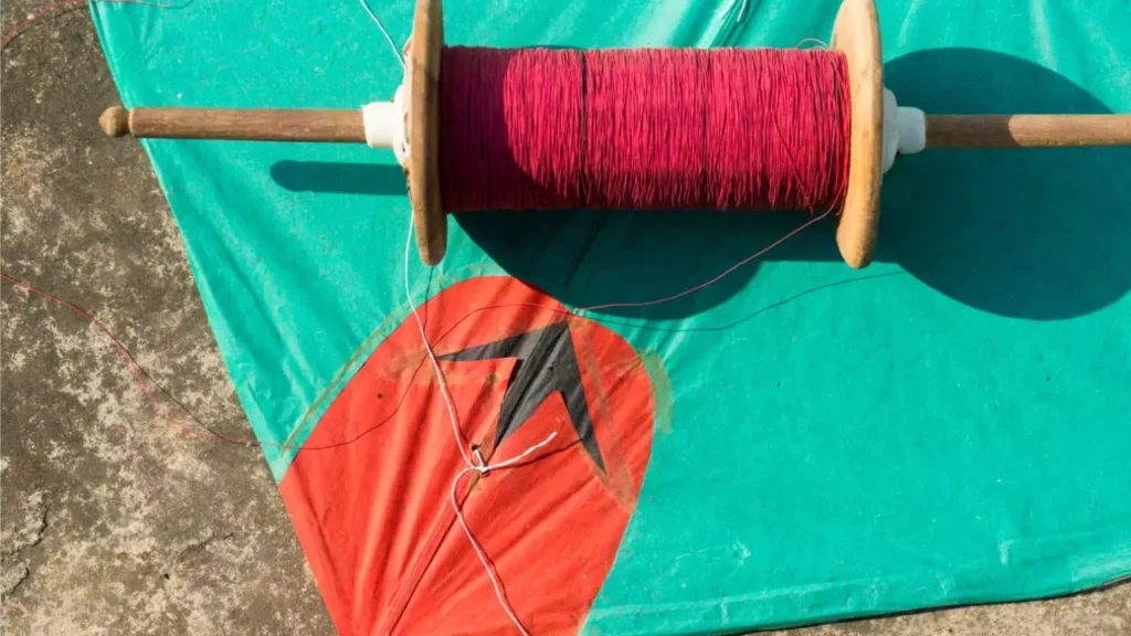 Chinese Manja Action Gujarat