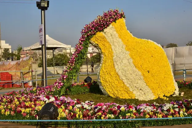 Ahmedabad Flower Show
