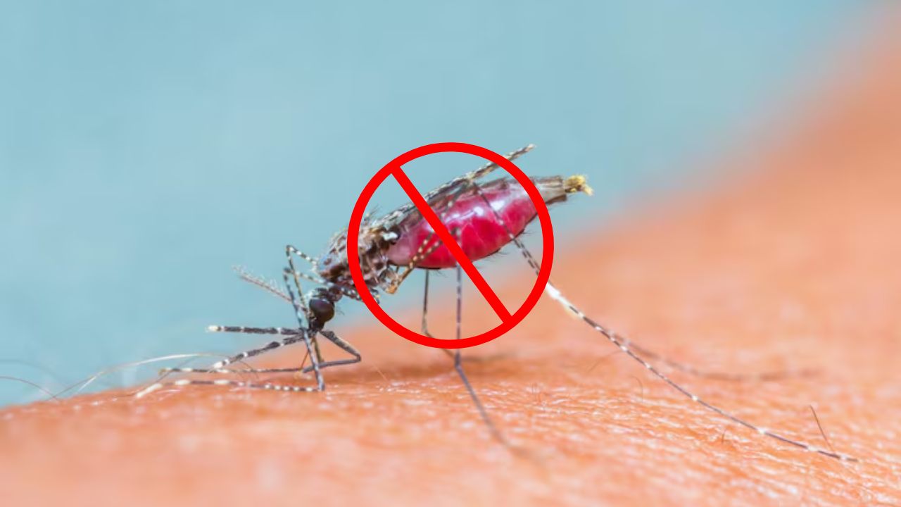 स्वास्थ्य: 'मलेरिया मुक्त भारत 2030' की ओर बड़ा कदम