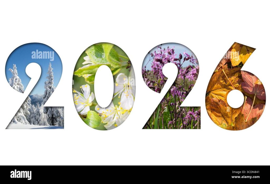 हैप्पी न्यू ईयर 2026