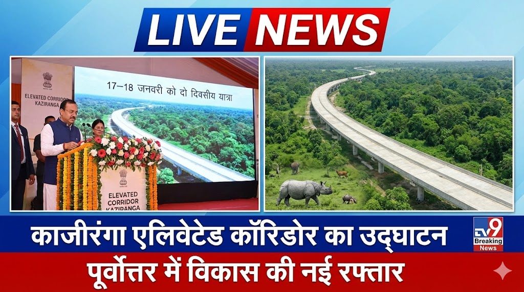 Kaziranga Elevated Corridor