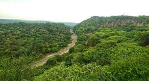 Aravali Safari Project