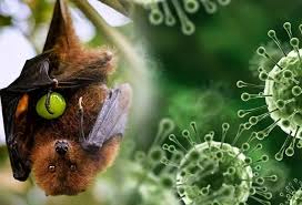 निपाह वायरस