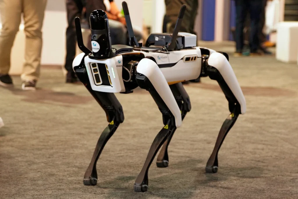 Robodogs Explained