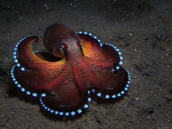 Interesting World Facts