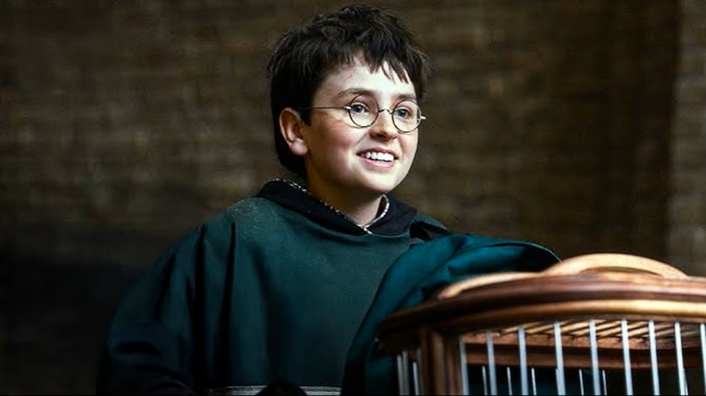 Harry Potter and the Philosopher's Stone Teaser