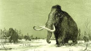 Interesting World Facts