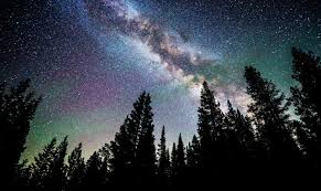 Interesting World Facts