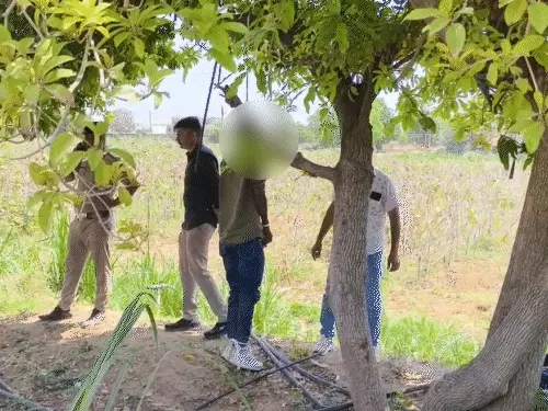 पालनपुर