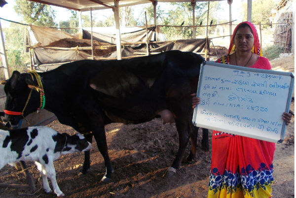 Integrated Dairy Development Scheme Gujarat 2026:
