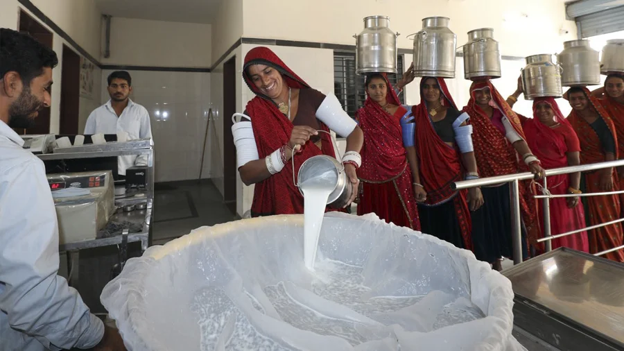 Integrated Dairy Development Scheme Gujarat 2026: