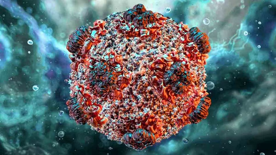 Q&A: Hantavirus