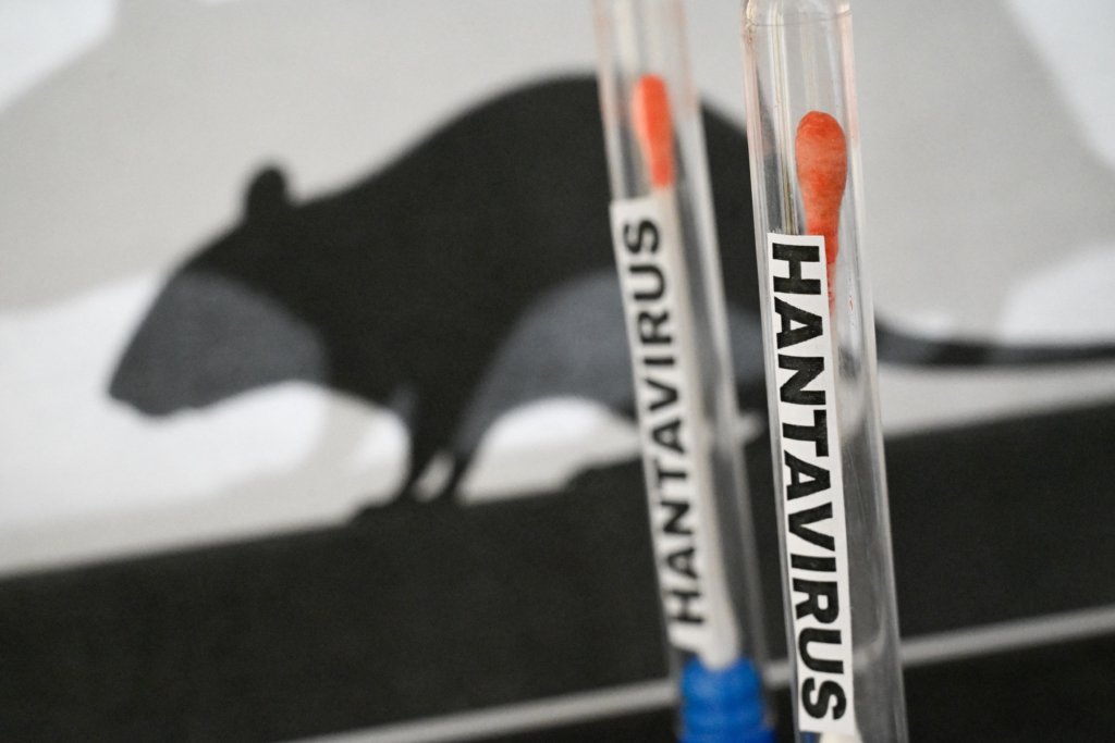 Q&A: Hantavirus